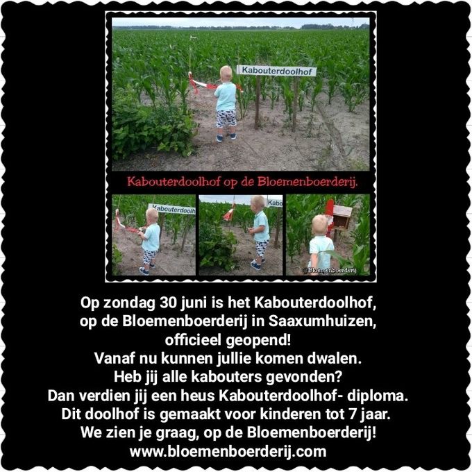 30 juni 2019:
Kabouter-doolhof officieel geopend!